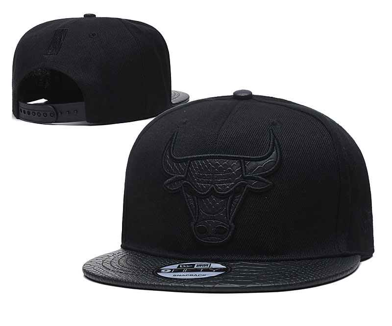 2021 NBA Chicago Bulls  hat
